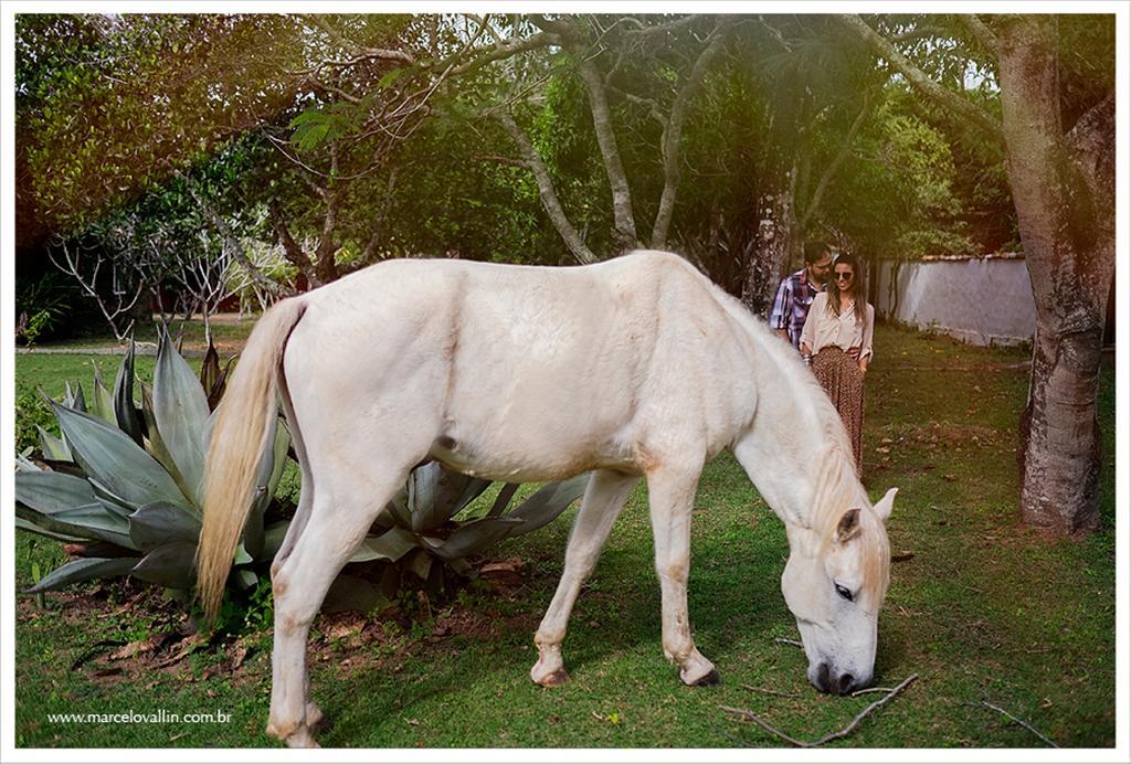 Pousada Fazendinha Búzios Exterior foto