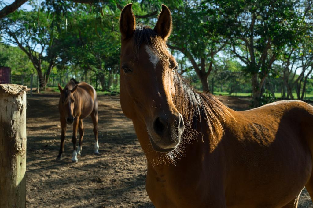 Pousada Fazendinha Búzios Exterior foto