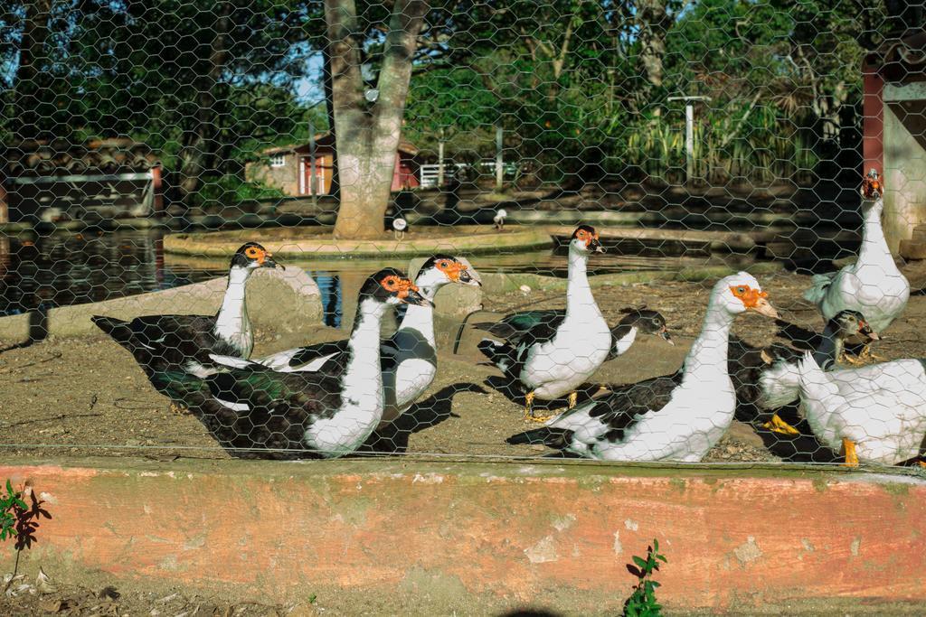 Pousada Fazendinha Búzios Exterior foto