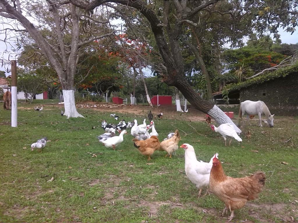 Pousada Fazendinha Búzios Exterior foto